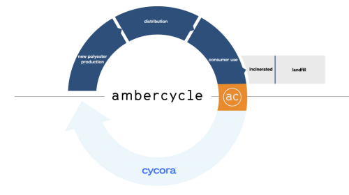 ambercycle infographic