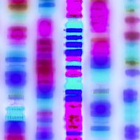 DNA sequence