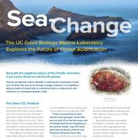 Sea change cover