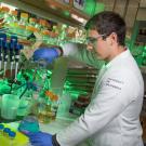 UC Davis College of Biological Sciences undergraduate researcher Benjamin Mallory performs a lab experiment.