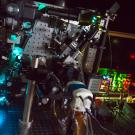 The lattice light-sheet microscope, which is housed within the Department of Molecular and Cellular Biology, was acquired by a joint effort with the Howard Hughes Medical Institute and eight campus groups. David Slipher/UC Davis