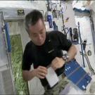  Do microbes grow differently on the International Space Station than they do on Earth? Results from the growth of microbes collected by citizen scientists in Project MERCCURI indicate that most behave similarly in both places.