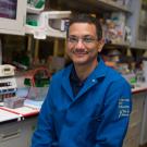 Aldrin Gomes, associate professor of neurobiology, physiology and behavior, explores the molecular clues of the proteasome to help medical professionals better manage heart disease. David Slipher/UC Davis