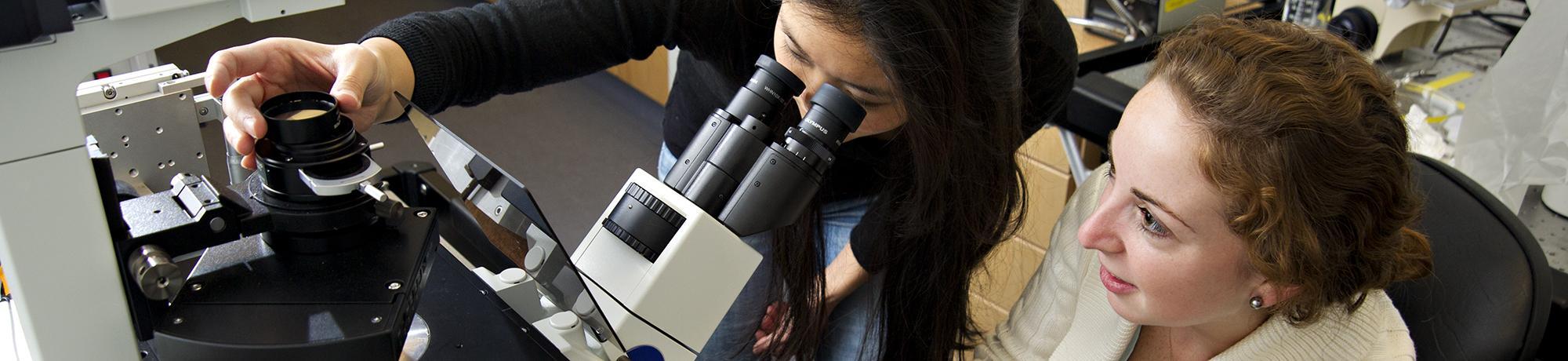 Students looking through microscope