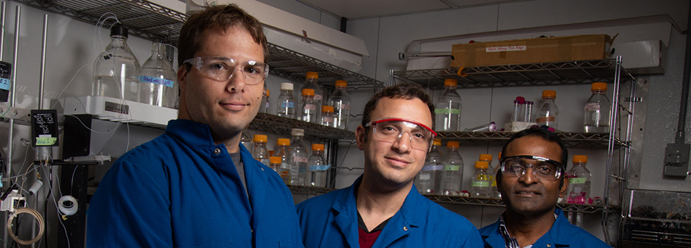 Jawdat Al Bassam Lab College of Biological Sciences