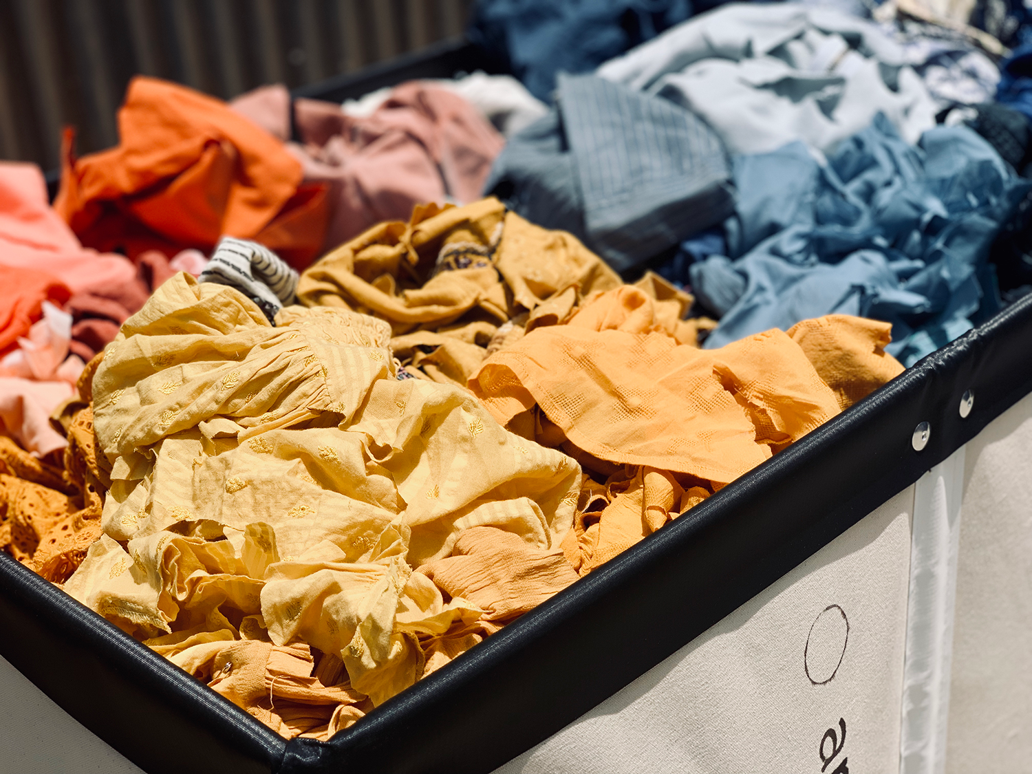 Clothes