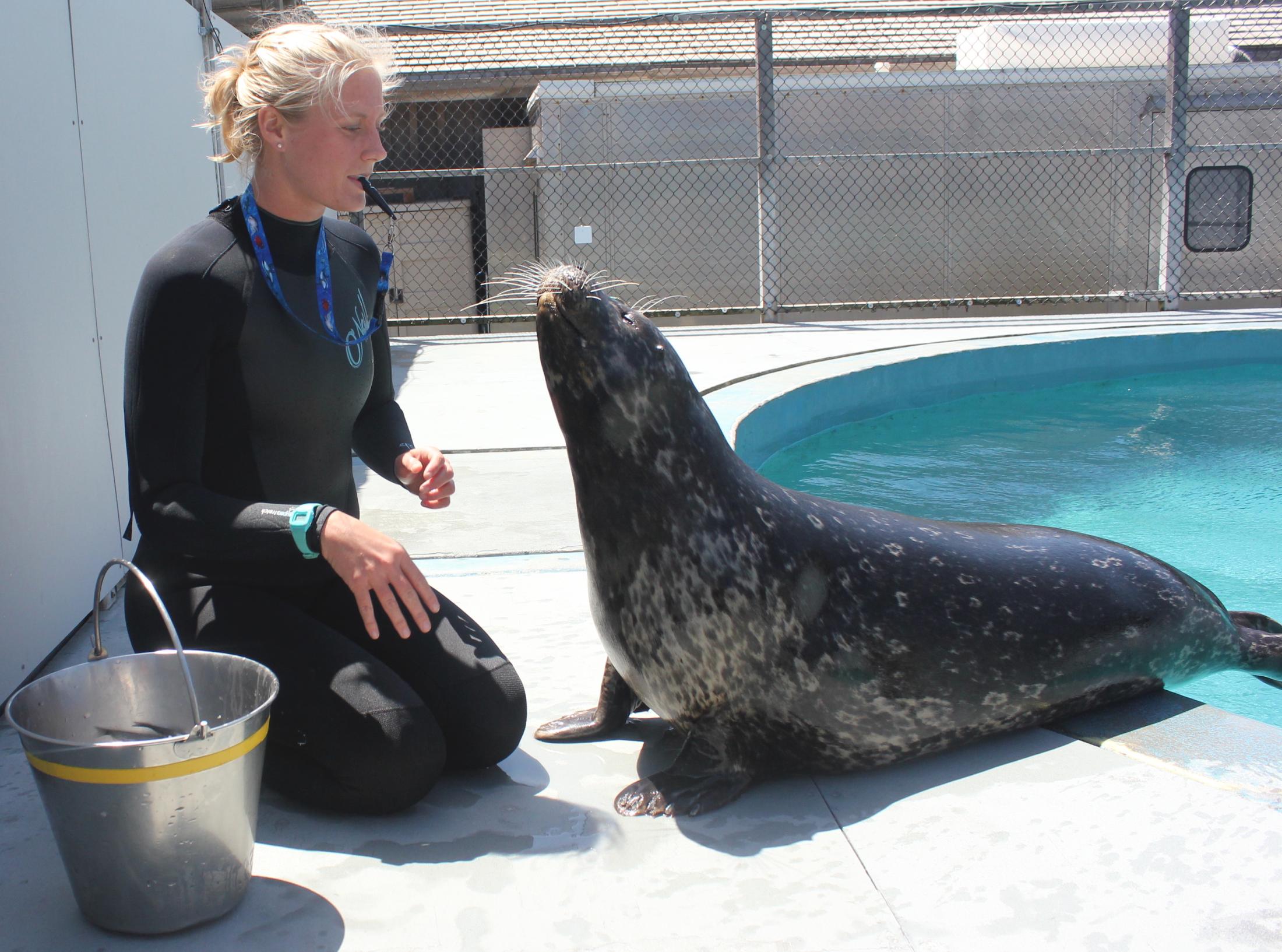 Karli Rice Chudeau and a pinniped