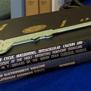 Student theses