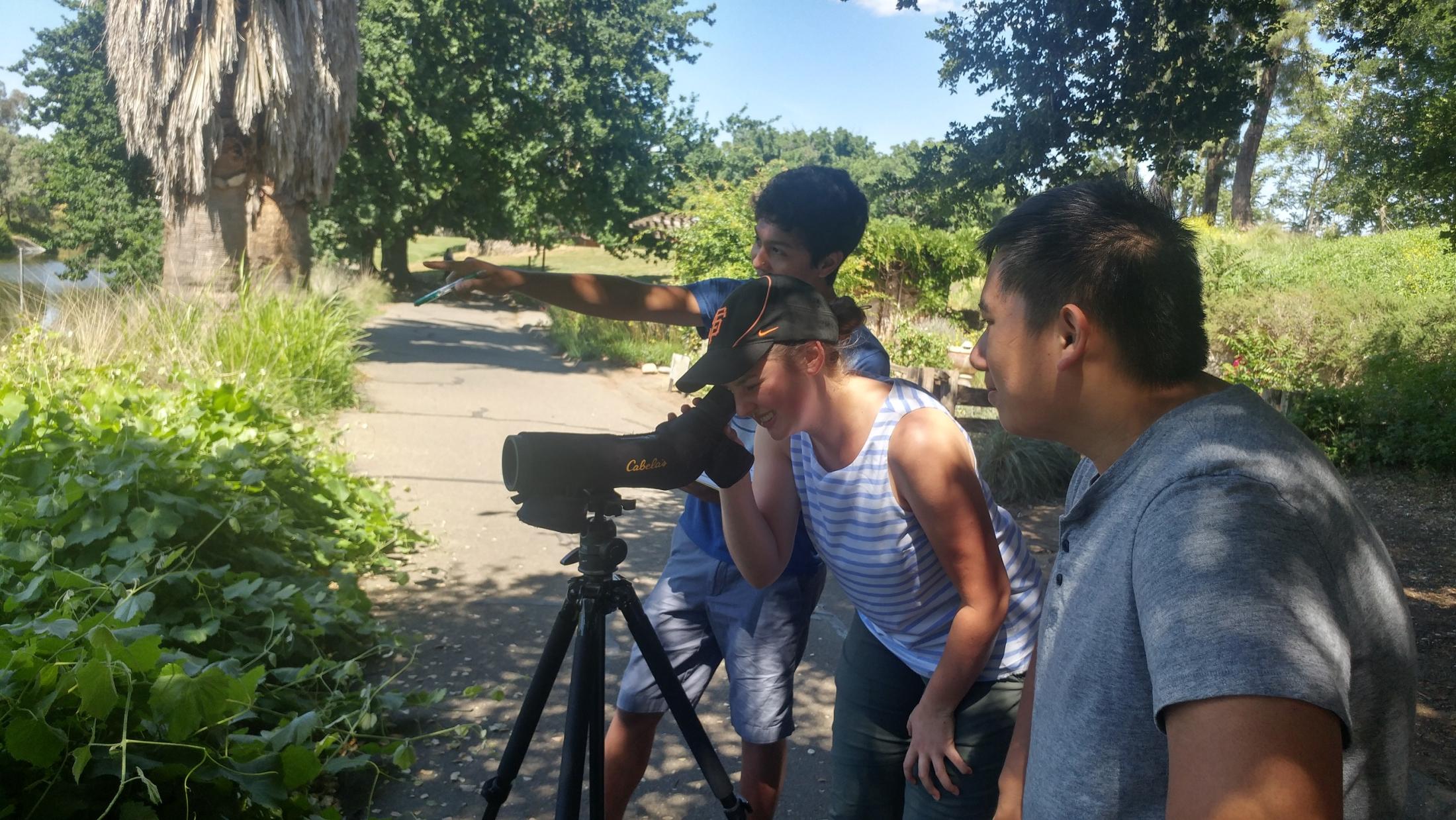 Harrison Espino, Anne Boyd and Tristan Tran (back to front) identify turtles in the Arboretum lake and document their behavior and habitat preferences. Laci Gerhart-Barley 