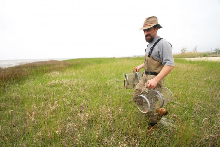 Andrew Whitehead carries minnow traps