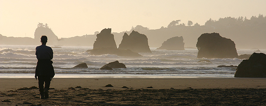 Global carbon dioxide emissions are changing ocean chemistry, particularly along the West Coast. (Bob Wick/Creative Commons)