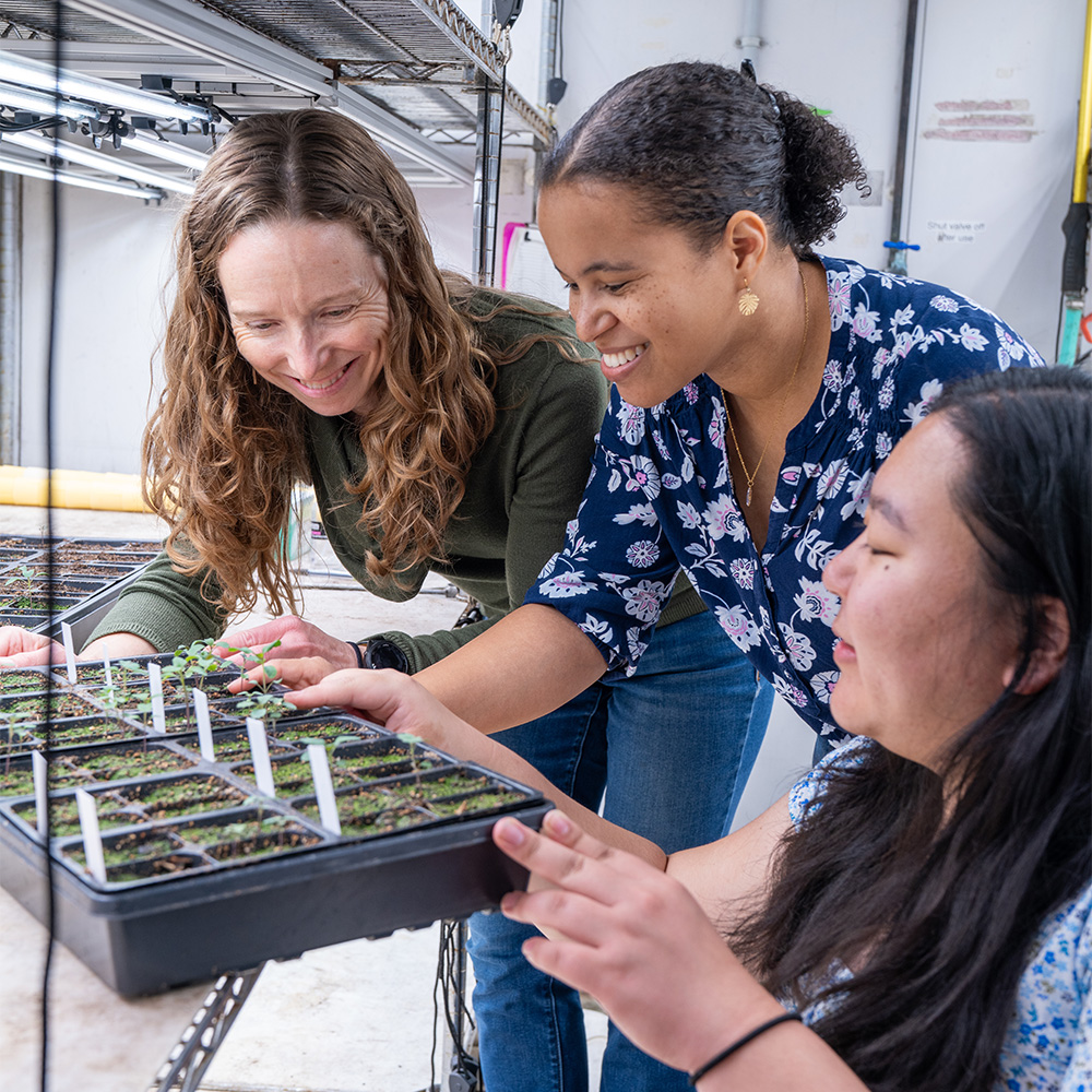Three women smiling and inspecting a seedling tray in a greenhouse