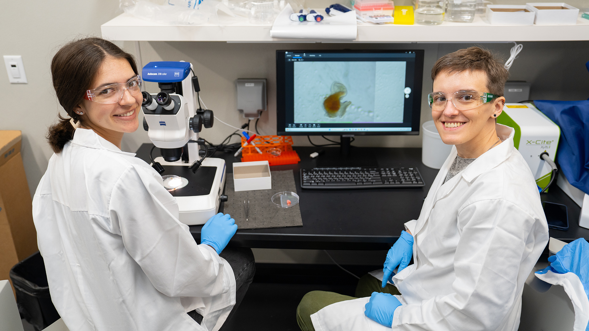 Alice Accorsi and graduate student Annika Patel, both wearing lab coats, gloves, and safety glasses, smile while working in a laboratory. They sit at a microscope and computer displaying a magnified image of a snail specimen.