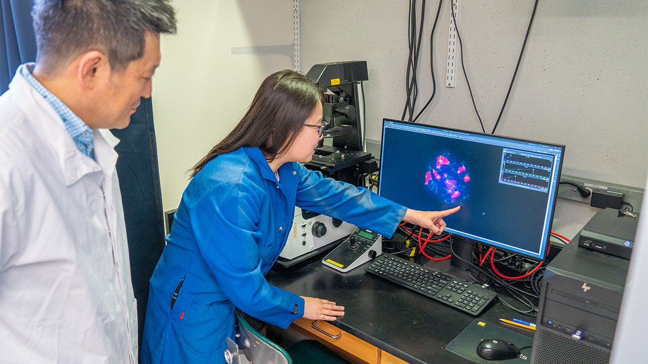 Female researcher pointing at colorful cell images on a lab computer monitor, colleague watching