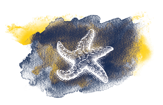 Sea Star