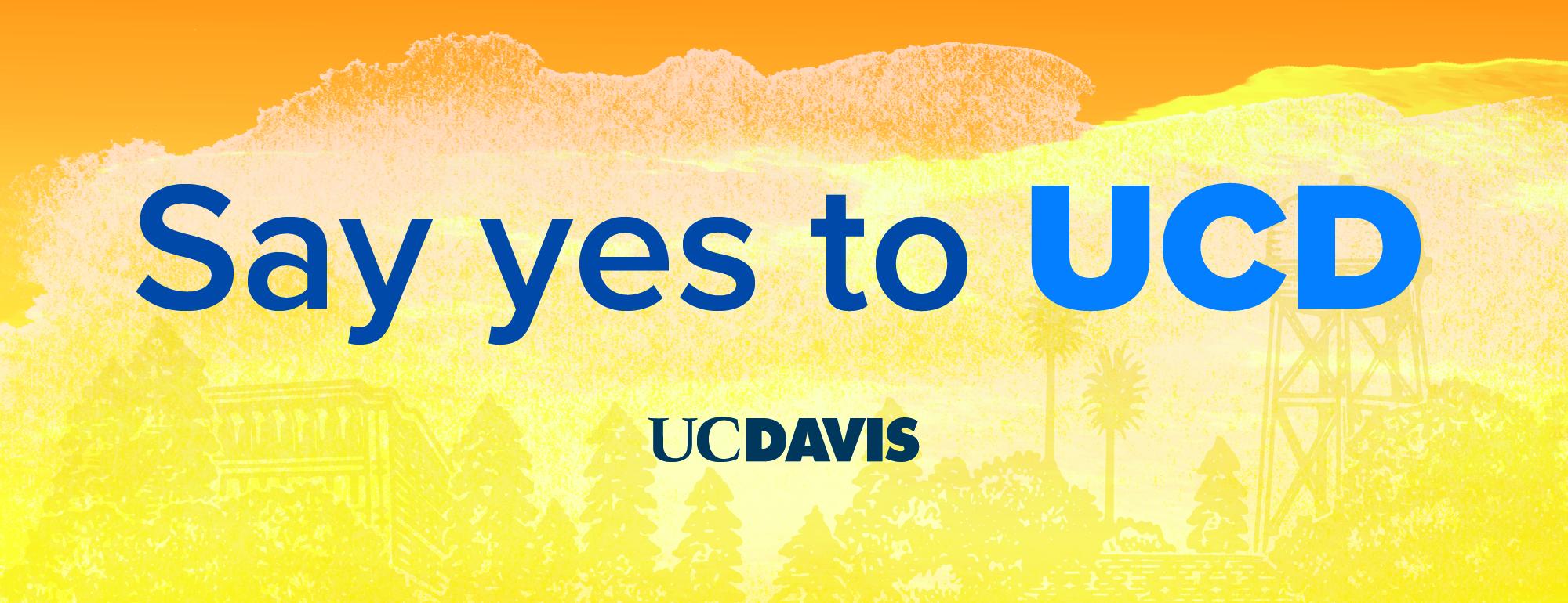 A bright yellow illustration and graphic with "Say Yes to UC Davis" text