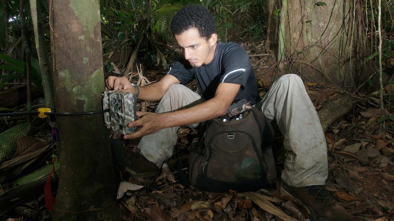 Claudio Monteza-Moreno spent his adolescence exploring the ecosystem behind his childhood home in Panama. These experiences opened his mind to science and eventually brought him to UC Davis. Today, he’s a student in the Animal Behavior Graduate Group. STRI Claudio Monteza-Moreno spent his adolescence exploring the ecosystem behind his childhood home in Panama. These experiences opened his mind to science and eventually brought him to UC Davis. Today, he’s a student in the Animal Behavior Graduate Group.