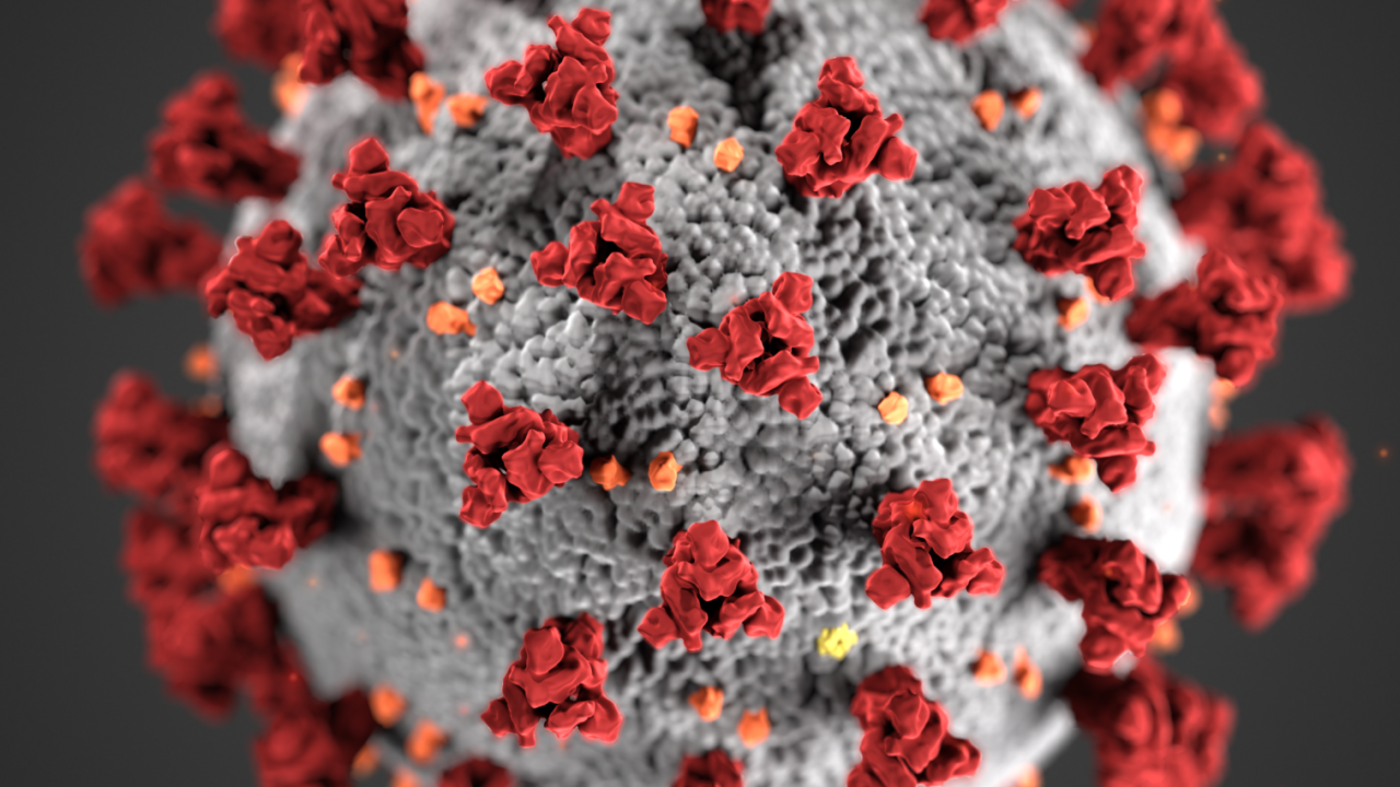 A COVID-19 public awareness symposium is scheduled for Thursday, April 23, organized by Distinguished Professor Walter Leal and featuring UC Davis experts in immunology, infectious diseases, pathology and emergency medicine. Coronavirus