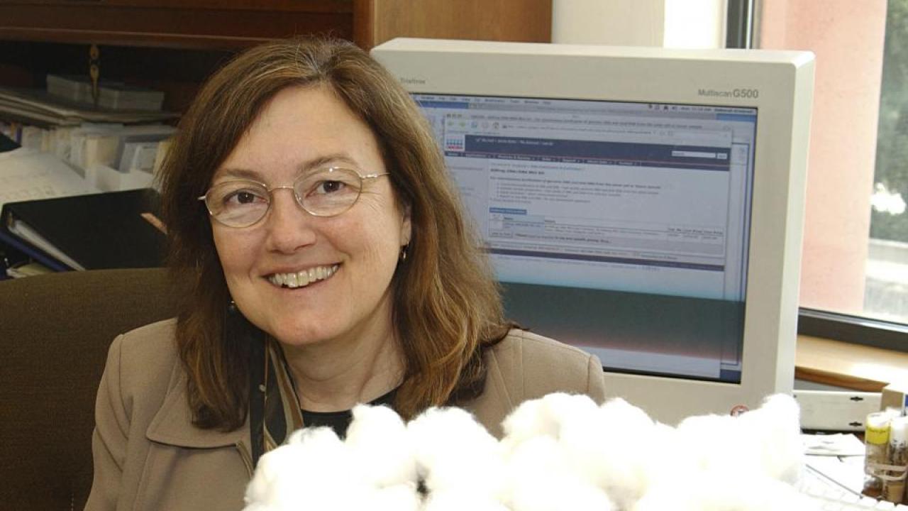 Professor Deborah Kimbrell holds a tray of fruit fly specimens. She launched fruit flies into space in 2006 as part of an experiment to test their immunity in space. (Kathy Keatley Garvey/UC Davis) Professor Deborah Kimbrell holds a tray of fruit fly specimens