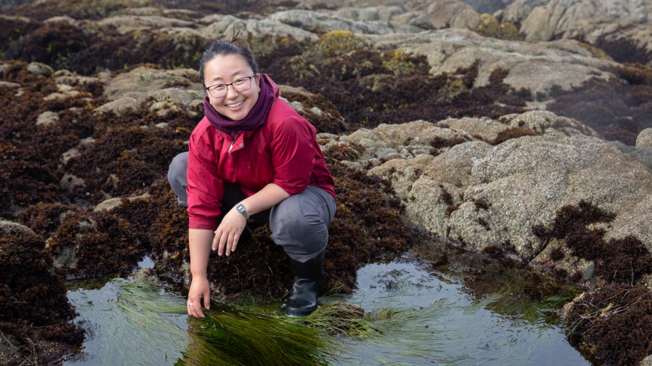 Grace Ha sifts through a tide pool in Horseshoe Cove