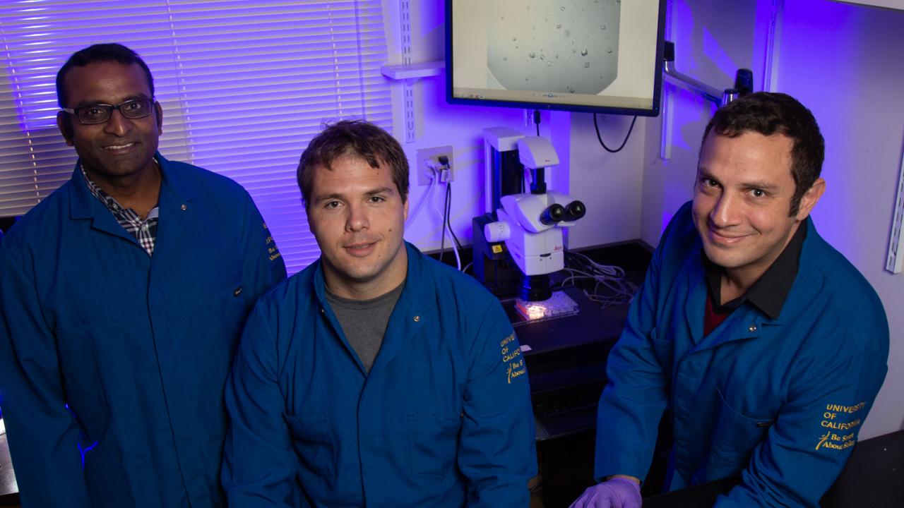 From left to right is Stanley Nithianantham, Assistant Project Scientist; Brian Cook, graduate student; and Jawdat Al-Bassam.