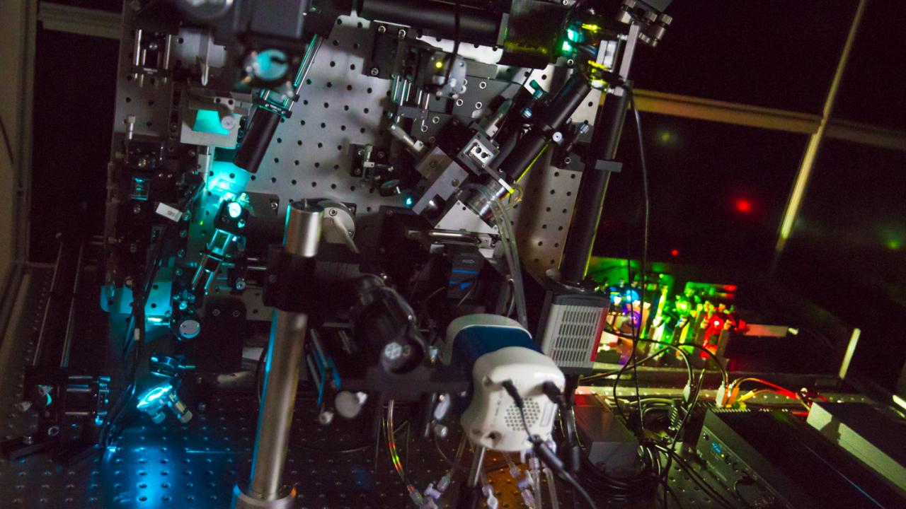 The lattice light-sheet microscope, which is housed within the Department of Molecular and Cellular Biology, was acquired by a joint effort with the Howard Hughes Medical Institute and eight campus groups. David Slipher/UC Davis The lattice light-sheet microscope, which is housed within the Department of Molecular and Cellular Biology, was acquired by a joint effort with the Howard Hughes Medical Institute and eight campus groups. David Slipher/UC Davis