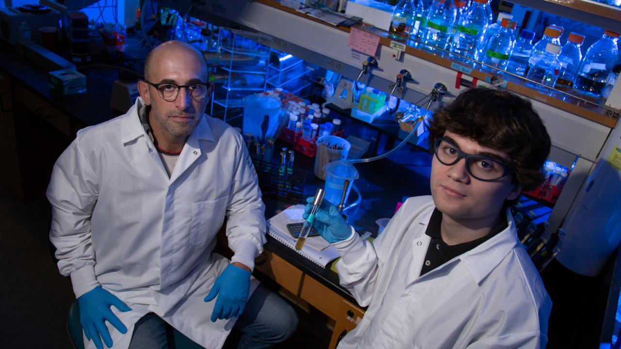 Mackenzie Noon, right, is an undergraduate researcher in the lab of Professor Ken Kaplan, on the left, where he studies cancer at the chromosomal level. David Slipher/UC Davis Professor Ken Kaplan and student Mackenzie Noon sit in the lab