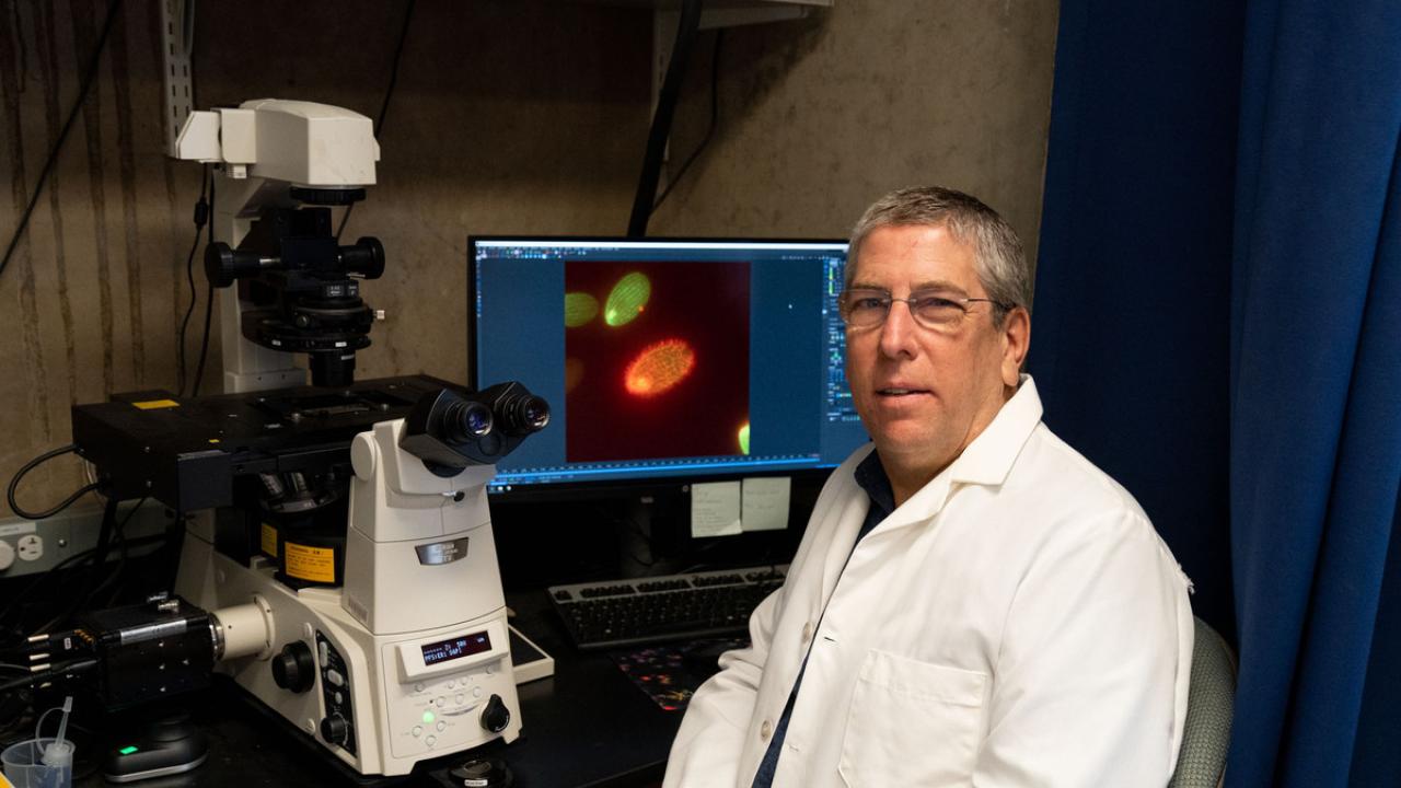 For his contributions to cell biology knowledge and the scientific community, Mark Winey was named a fellow of the American Society for Cell Biology. David Slipher/UC Davis Mark Winey