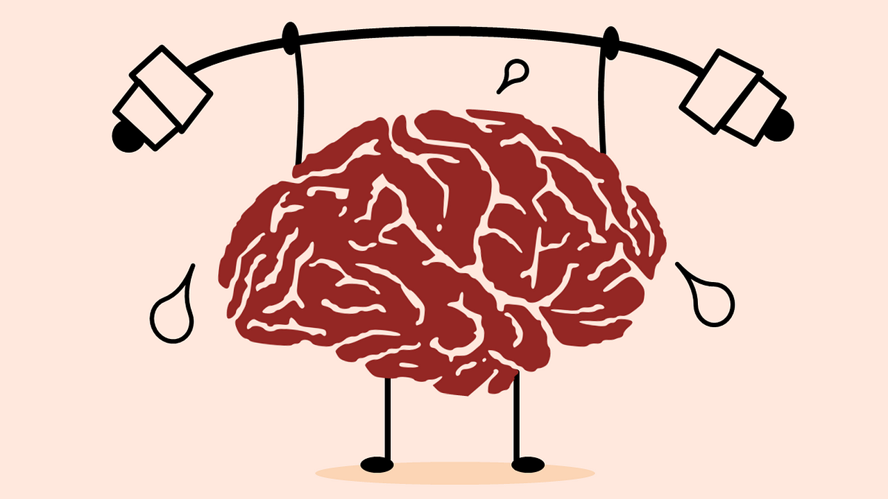 Brain