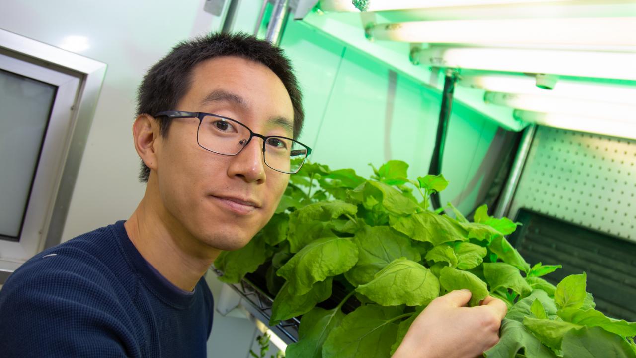 Assistant Professor Patrick Shih was recently selected as a 2019 Alfred P. Sloan Research Fellow in Computational and Evolutionary Molecular Biology. The fellowship will help fund his research to reconstruct the evolution of photosynthesis, a process that originated billions of years ago. David Slipher/UC Davis Patrick Shih with a plant