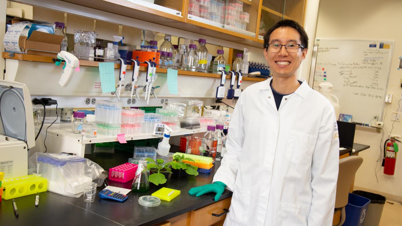 Patrick Shih, assistant professor in the Department of Plant Biology, College of Biological Sciences, has been named as a Packard Fellow Science and Engineering by the David and Lucile Packard Foundation. The fellowship will support Shih’s work on the plant enzyme rubisco, which fixes carbon from the atmosphere. (Photo by David Slipher/UC Davis) Patrick Shih in laboratory