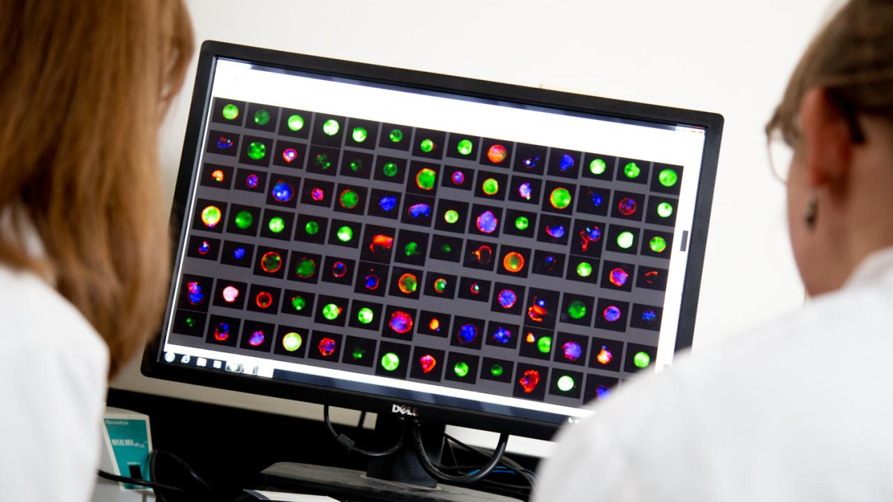 Computer screen with cell nibbling.