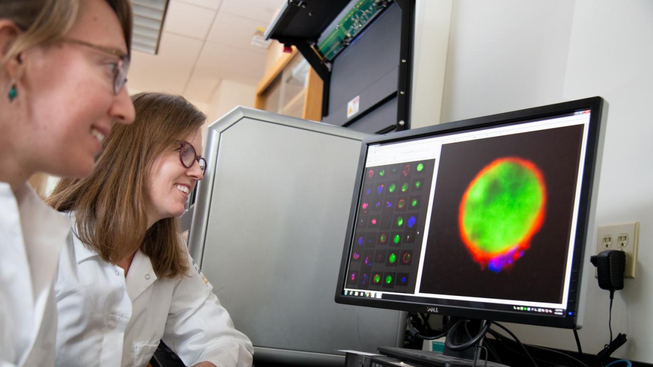 Award recipient Katharine Ralston, right, reviews microscope images with graduate student Hannah Miller. David Slipher/UC Davis Katherine Ralston and a student
