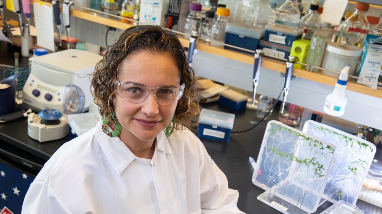 For her dedication to plant biology undergraduates, Associate Professor Siobhan Brady received the Outstanding Faculty Advisor Award from the Office of Undergraduate Education. David Slipher/UC Davis Siobhan Brady in her lab