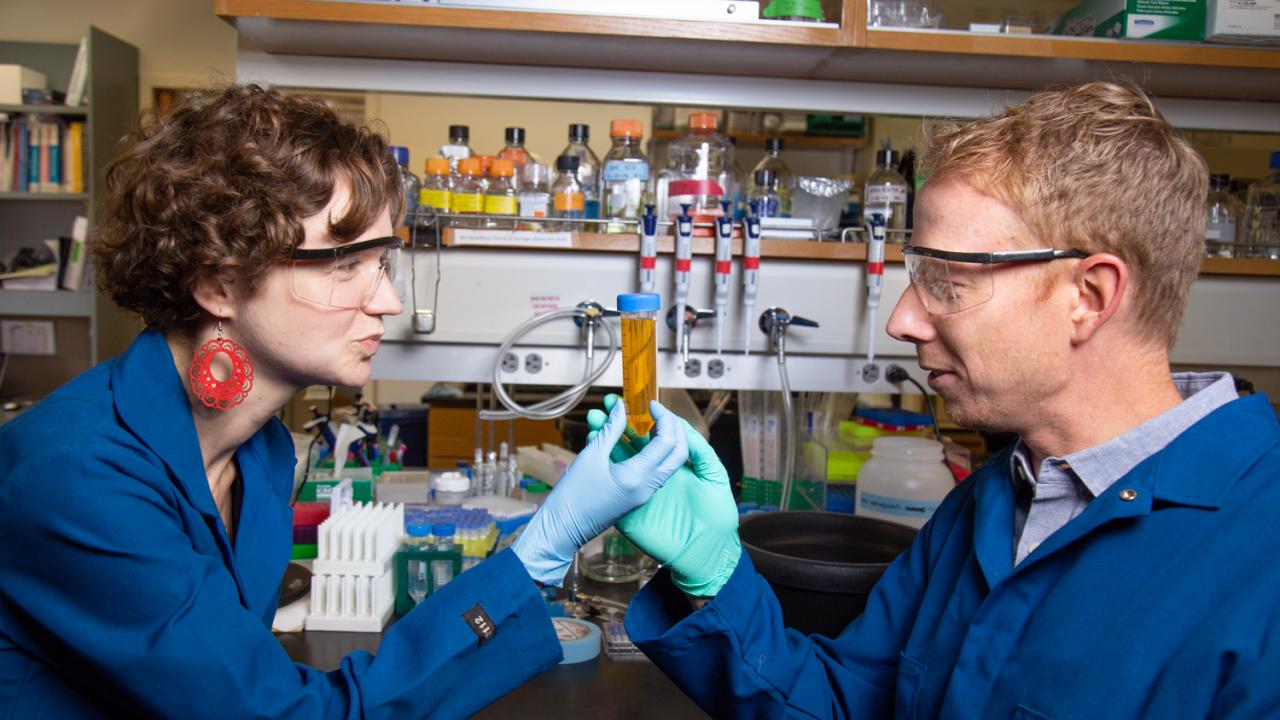 At UC Davis, husband and wife duo Richard McKenney and Kassandra Ori-McKenney run their research labs, located in the Life Sciences Building. To their staff, it’s affectionately known as the MOM Lab. David Slipher/UC Davis