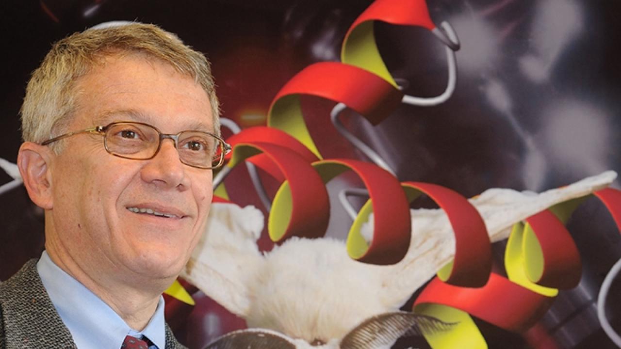 Distinguished Professor Walter Leal will deliver the Founders' Memorial Award lecture at Entomology 2019, November 17-20, in St. Louis, Mo. Kathy Keatley Garvey Walter Leal