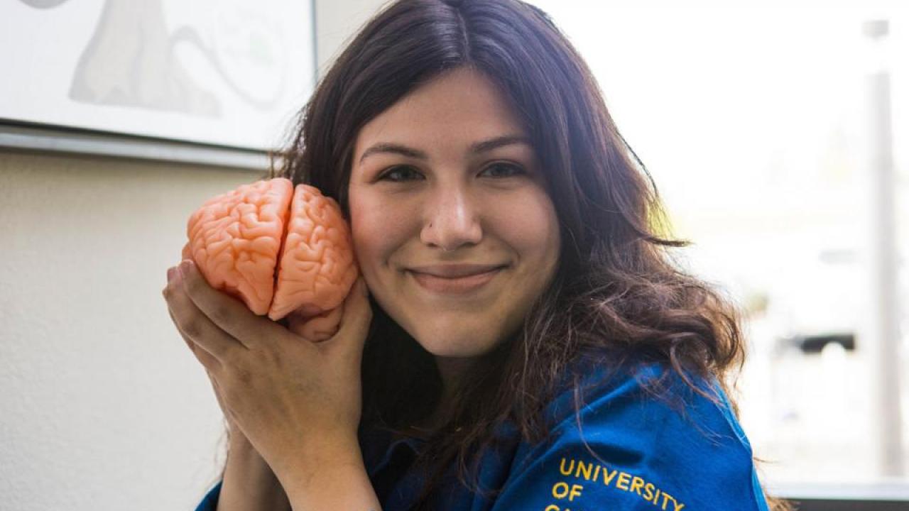 Eden Barragan of the Neuroscience Graduate Group displays a model of her favorite study subject: the brain. She works in the Gray Lab, led by John Gray, assistant professor of neurology, Center for Neuroscience. Eden Barragan