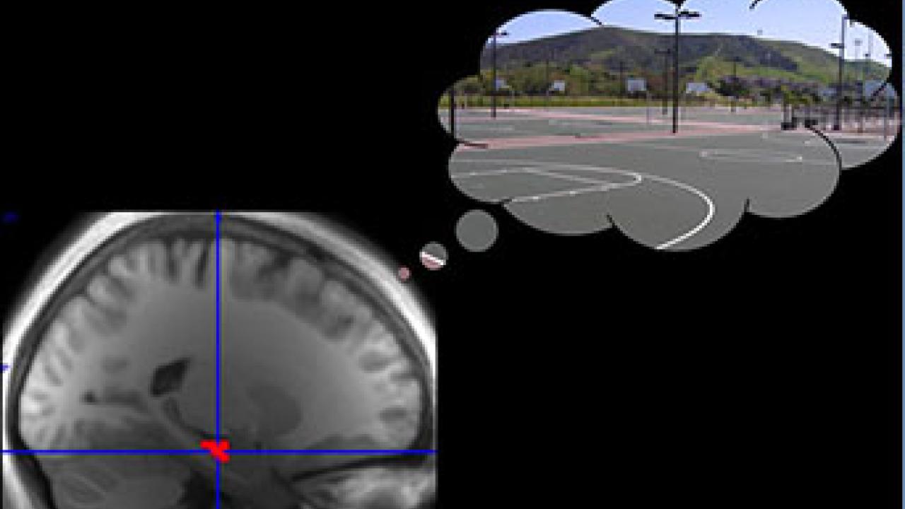 UC Davis neuroscientists were able to able to identify a signal associated with a rewarding memory, in this case related to a photo of a basketball court. Credit: Charan Ranganath Our brains prioritize rewarding memories over others, and reinforce them by replaying them when we are at rest, according to new research from the University of California, Davis, Center for Neuroscience, published Feb. 11 in the journal Neuron.