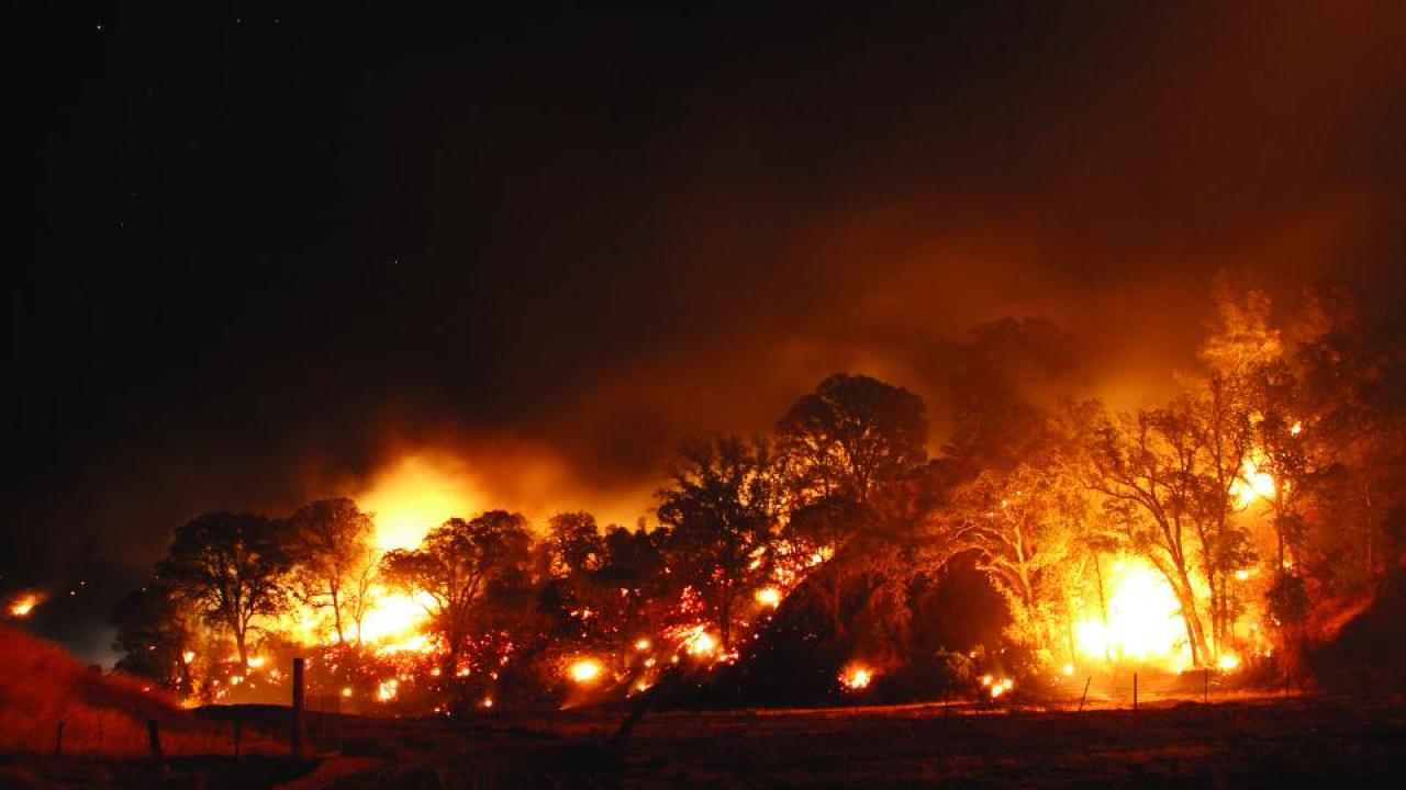 The Rocky Fire damaged almost 70,000 acres in Colusa, Lake and Yolo counties last summer. (Matt Henderson/On Fire Photos)
