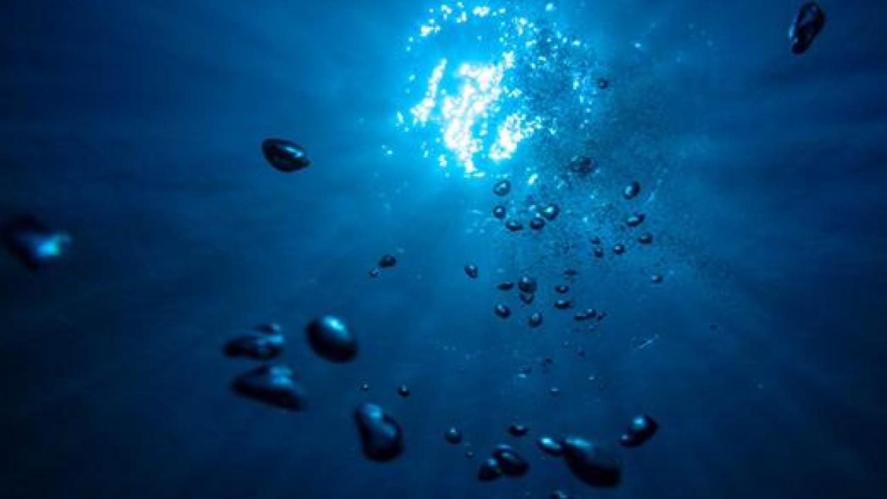 Rapid warming of the planet can cause ocean basins to abruptly lose oxygen, which marine life depends on, say UC Davis researchers. Rapid warming of the planet can cause ocean basins to abruptly lose oxygen, which marine life depends on, say UC Davis researchers.