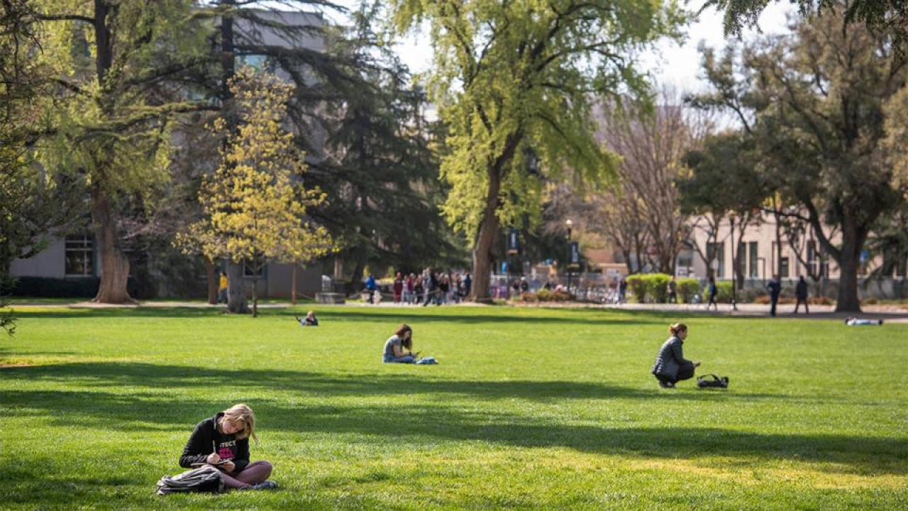 Events with a planned attendance of more than 150 people must be canceled or postponed if they were to be held March 12–31. (Karin Higgins/UC Davis) Students on lawn