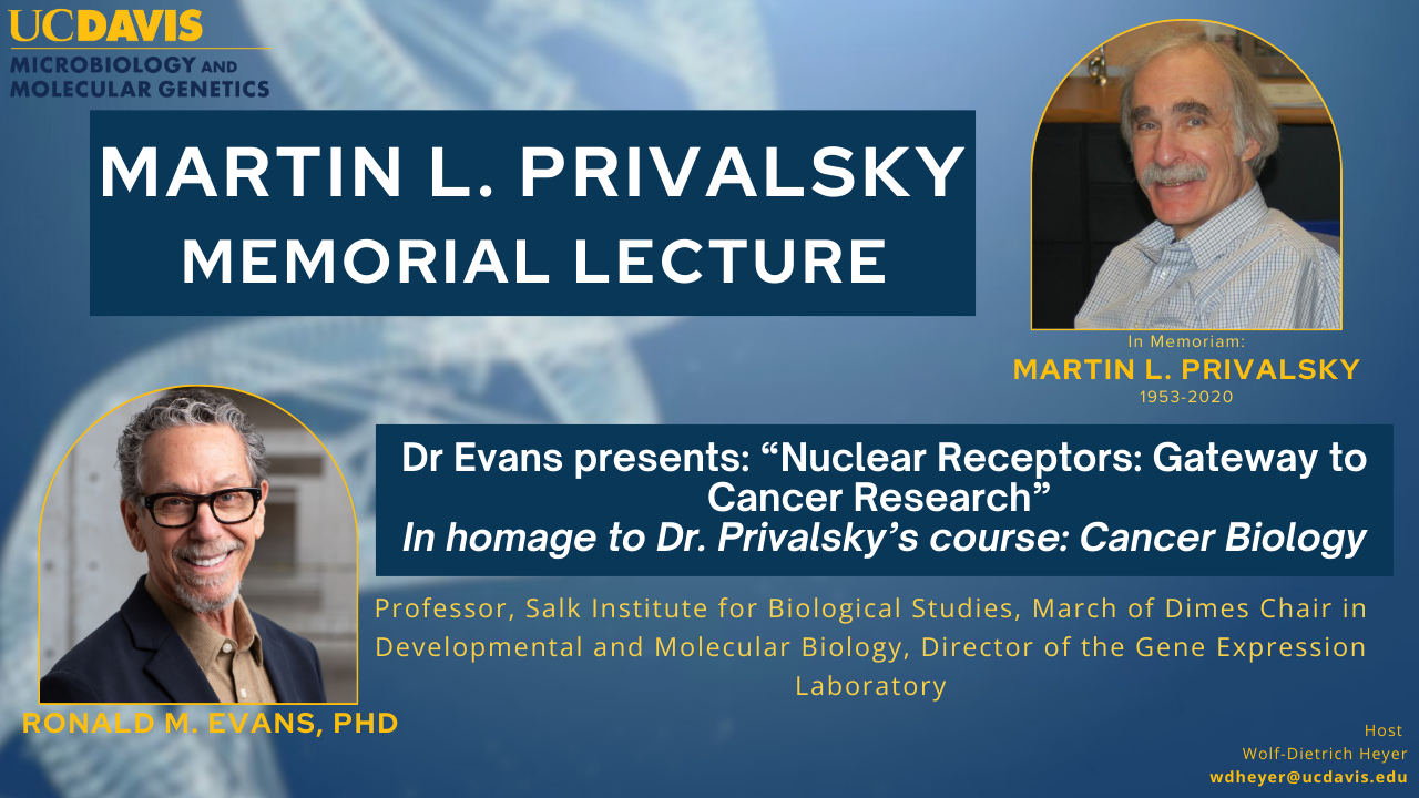 Martin L. Privalsky Memorial Lecture: "Nuclear Receptors: Gateway to Cancer Research" Flyer