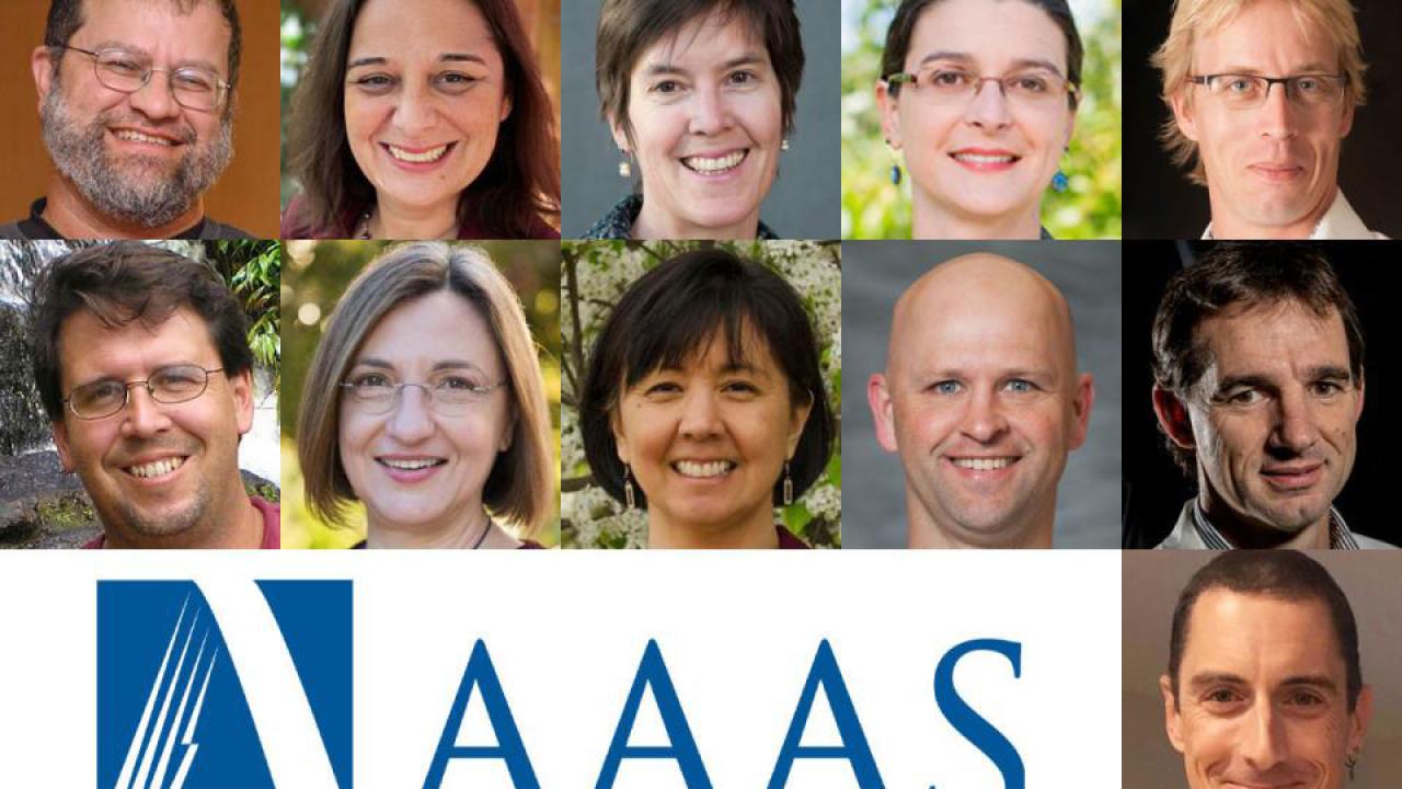 AAAS New Cohort 2020