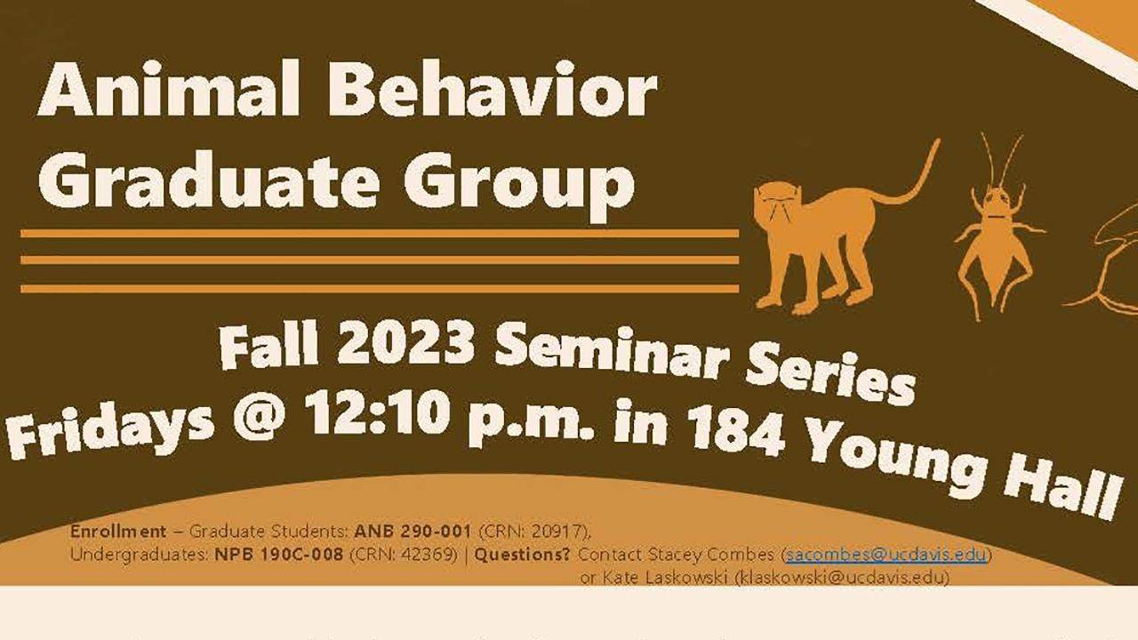 Brown tan graphic for seminar series