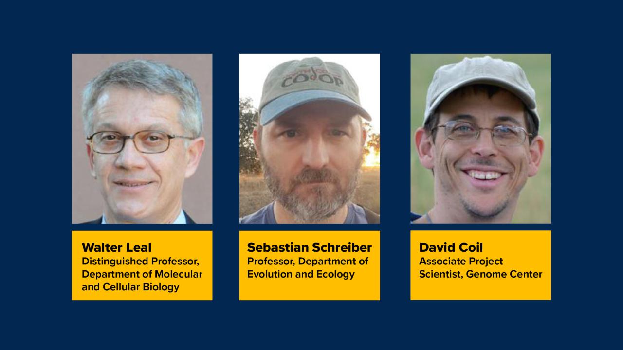 Academic and Federation Award Recipients