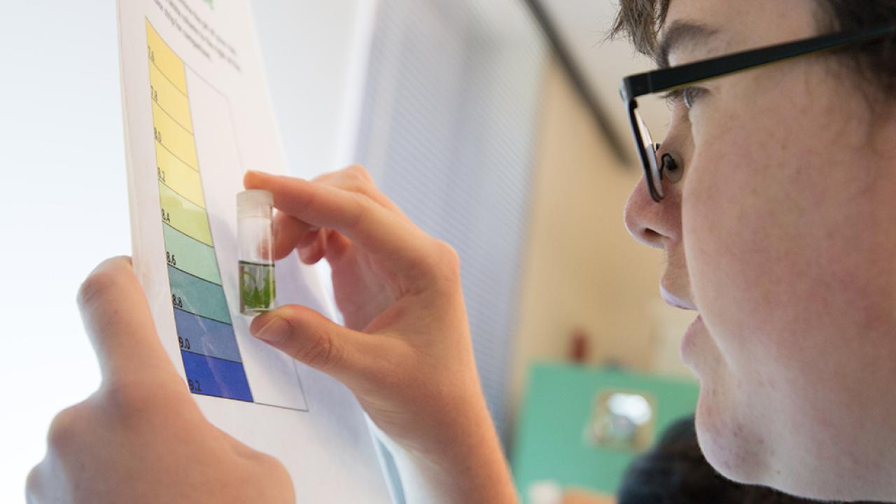 Student observing test tube
