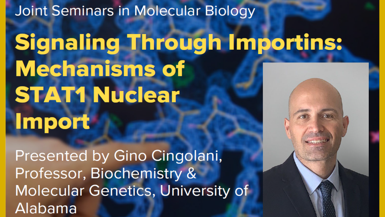 Blue graphic with seminar title, speaker name and title, and speaker photo