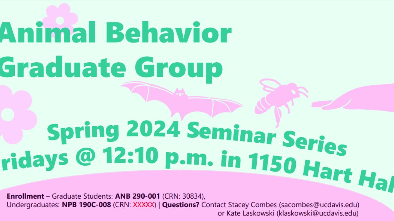green graphic with seminar information