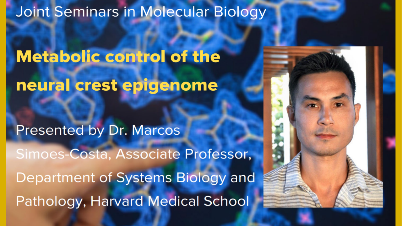 Blue graphic with seminar title and image of the presenter