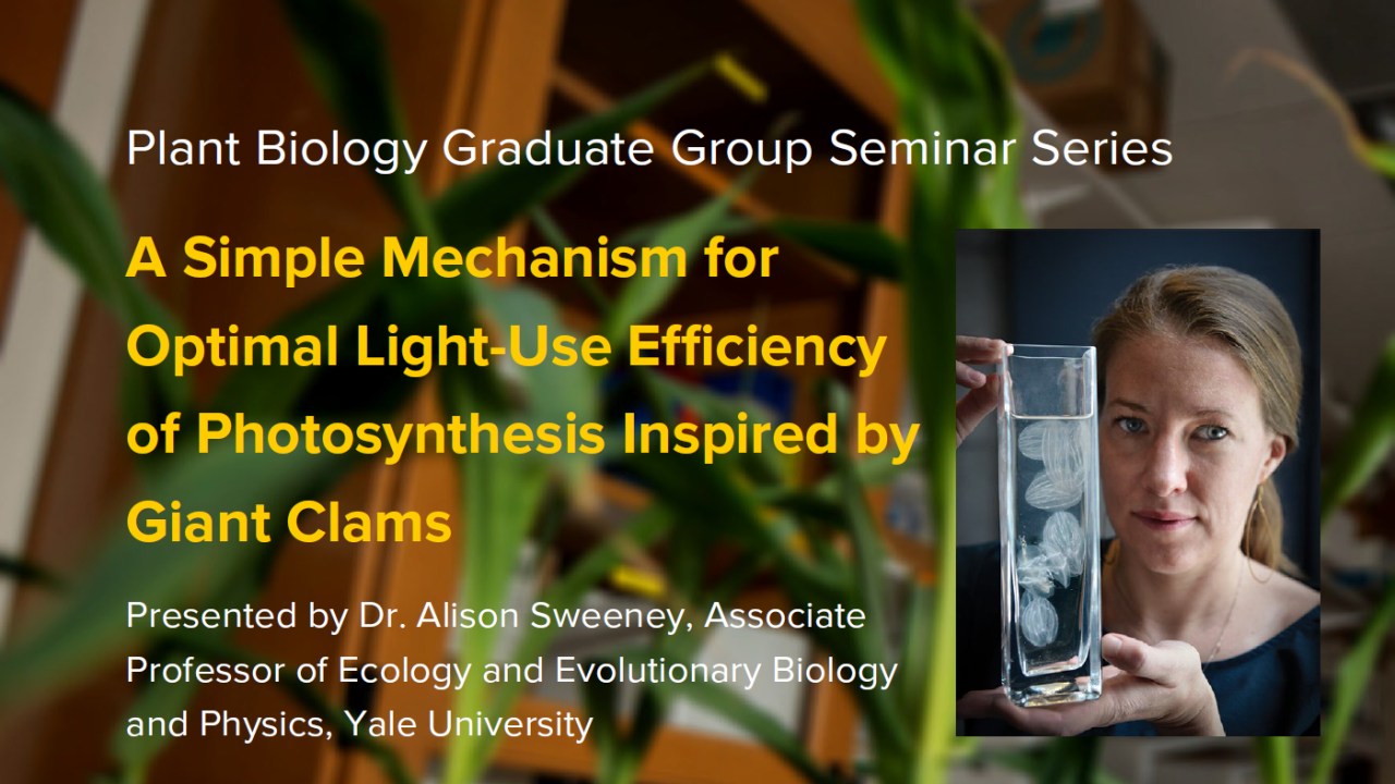 Plant graphic with seminar title and image of the presenter